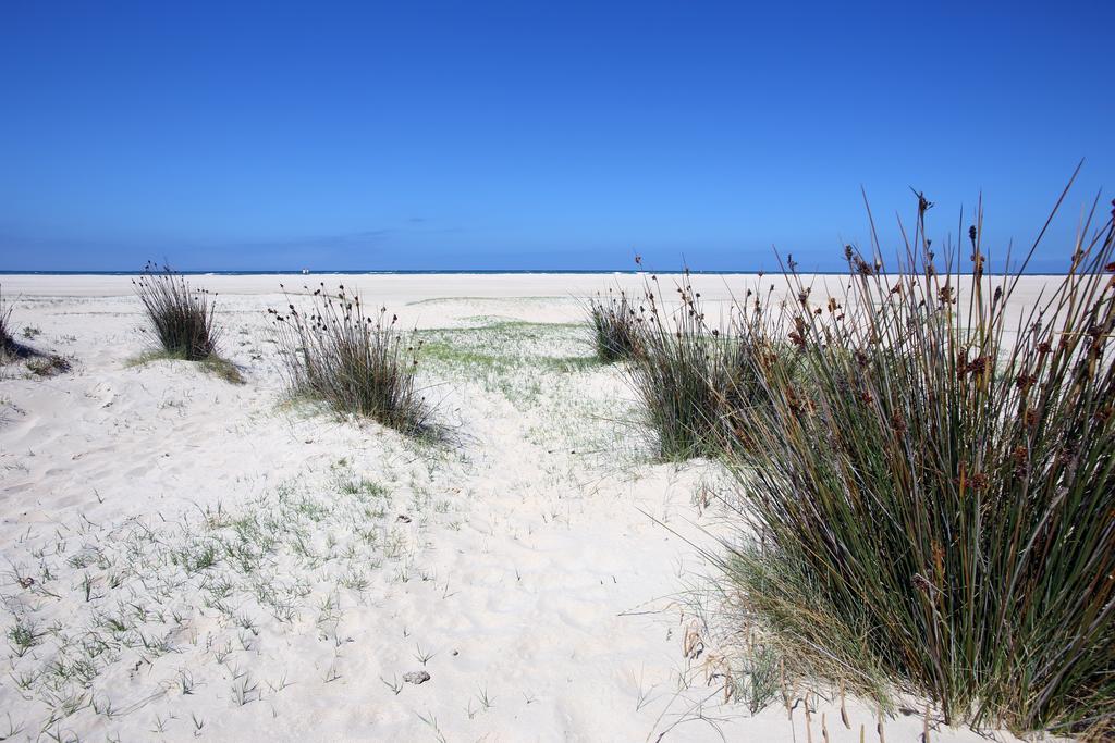 Apartmán Blue Fin Tarifa Exteriér fotografie
